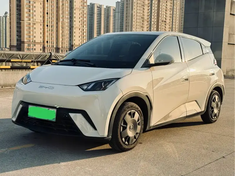 BYD Seagull, 2023