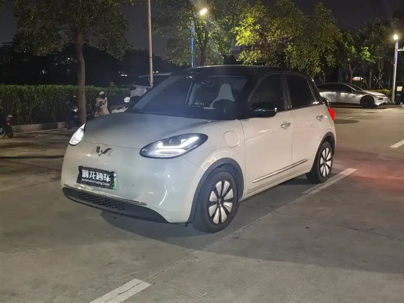 Wuling Bingo, 2024