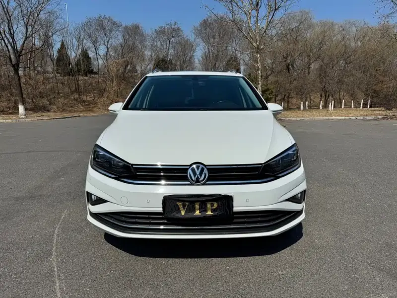 Volkswagen Golf Sportsvan, 2019 — фото 1