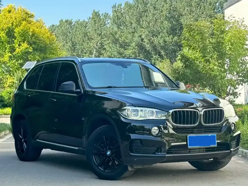 BMW X5 (Import), 2017 — фото 1