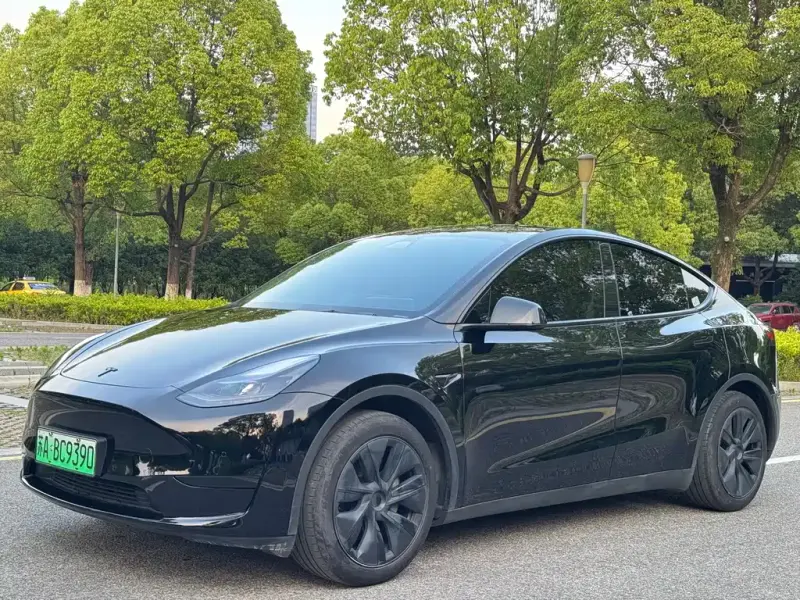 Tesla Model Y, 2024