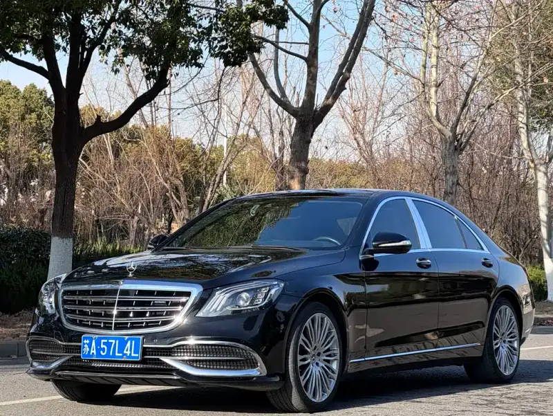 Mercedes-Benz S-Class, 2019 — фото 1