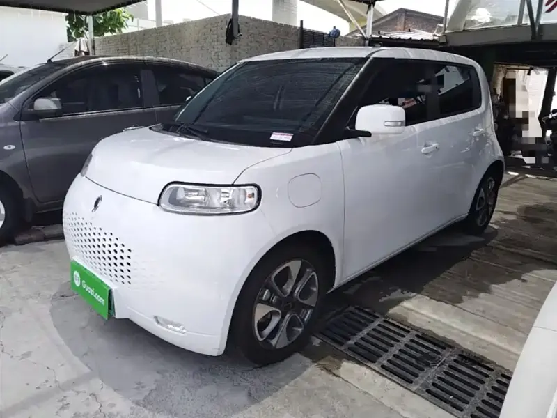 Ora White Cat, 2021