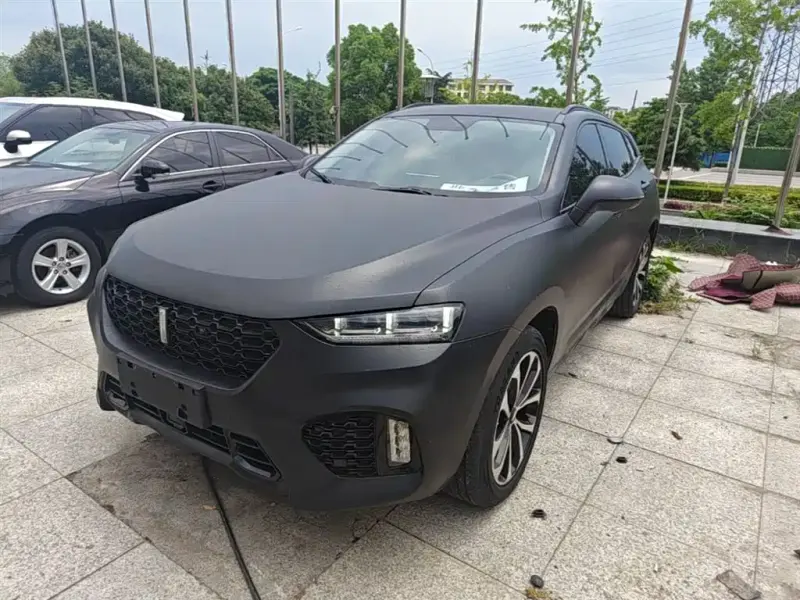 Wey VV7, 2018