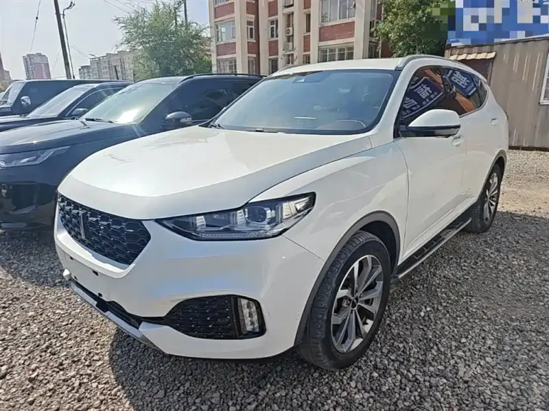 Wey VV6, 2018