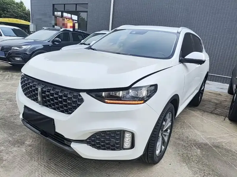 Wey VV6, 2019