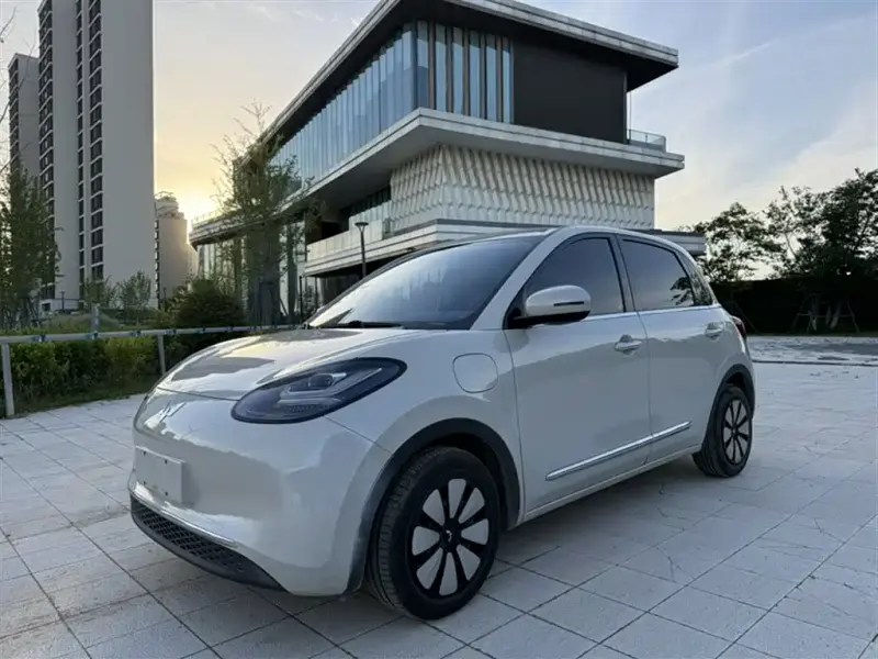 Wuling Bingo, 2024