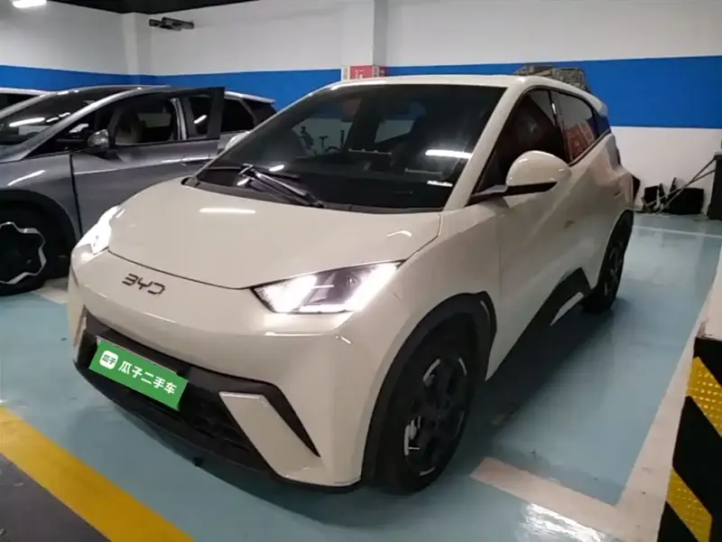 BYD Seagull, 2024