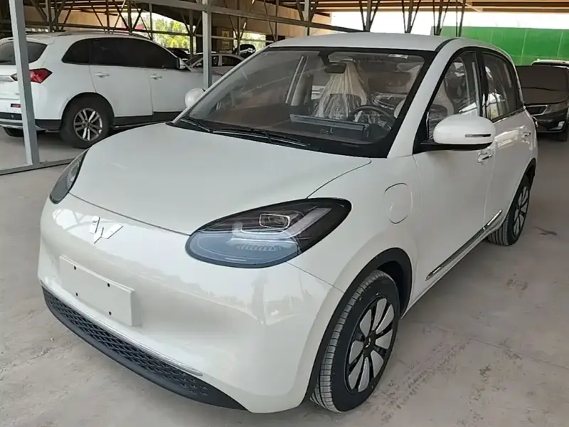 Wuling Bingo, 2024