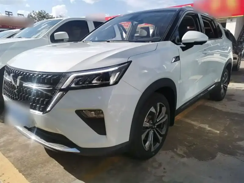 Wuling Xingchen, 2023