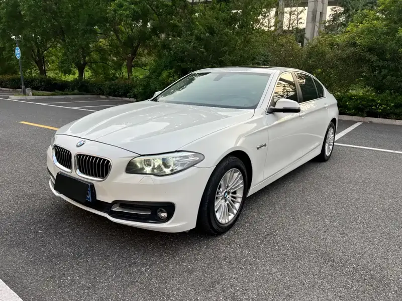 BMW 5 Series, 2016 — фото 1