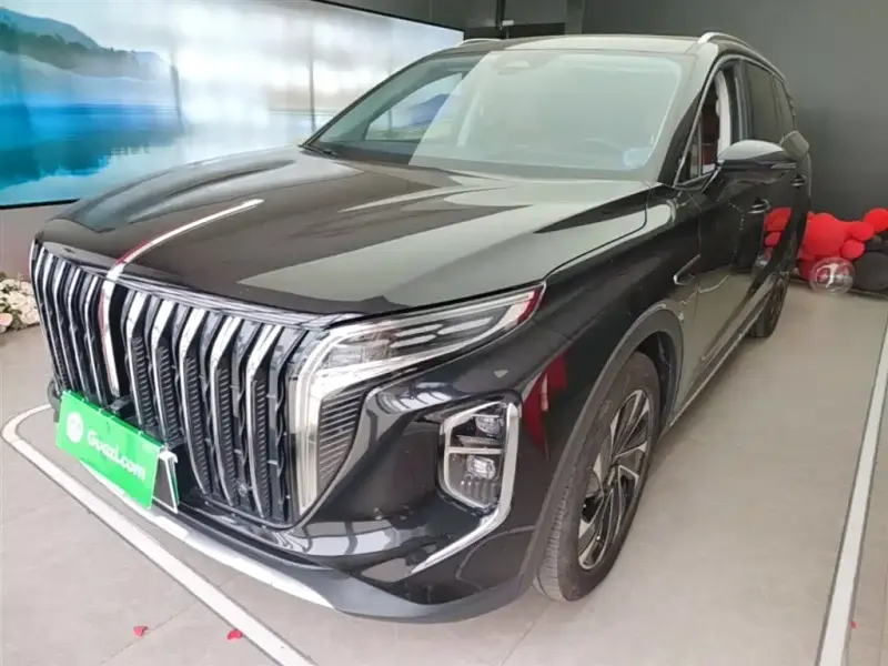 Hongqi HS7 PHEV, 2024 — фото 1