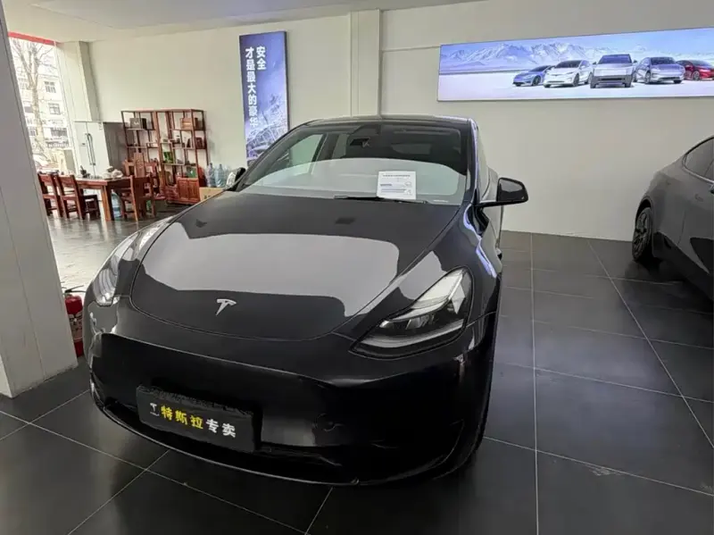 Tesla Model Y, 2024