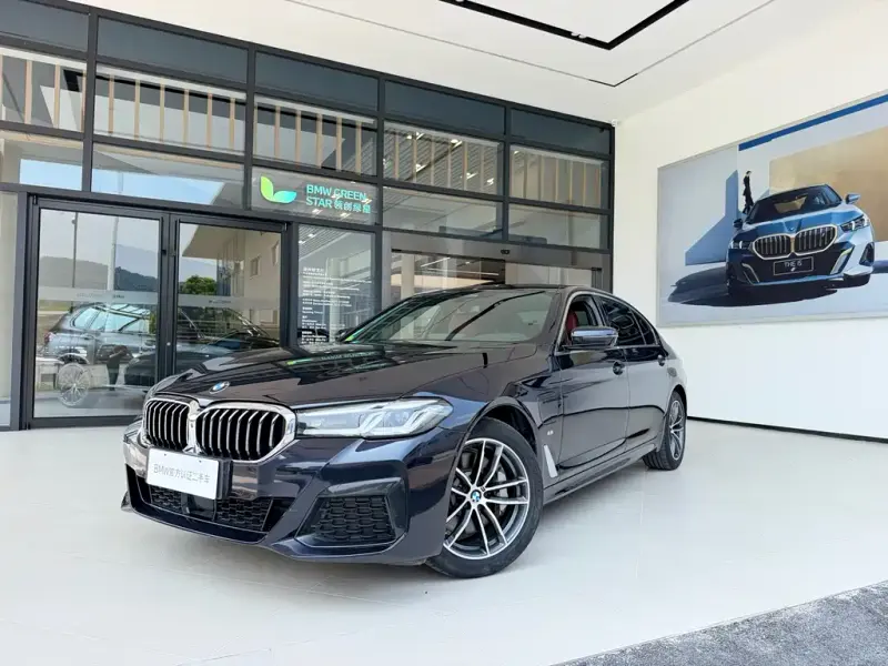 BMW 5 Series New Energy, 2021 — фото 1