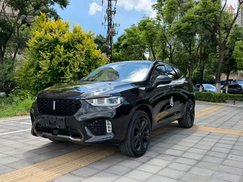 Wey VV5, 2017