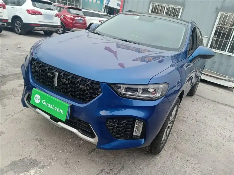 Wey VV5, 2017
