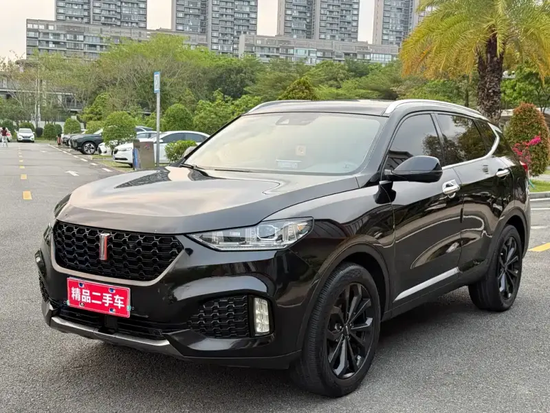 Wey VV6, 2019