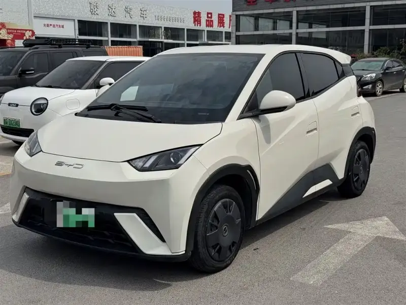 BYD Seagull, 2024