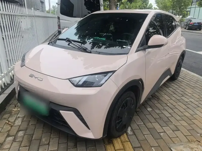 BYD Seagull, 2024