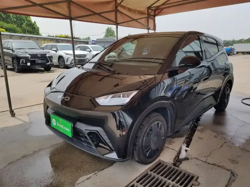 BYD Seagull, 2024
