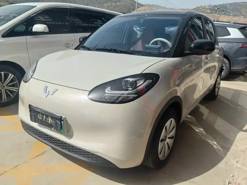 Wuling Bingo, 2026