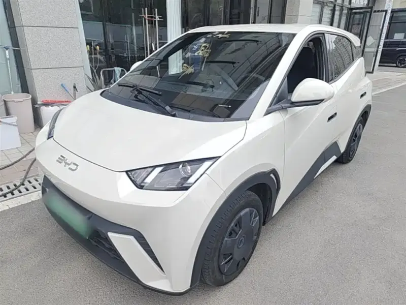 BYD Seagull, 2025