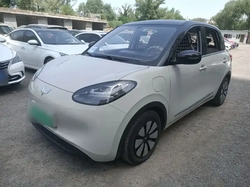 Wuling Bingo, 2024