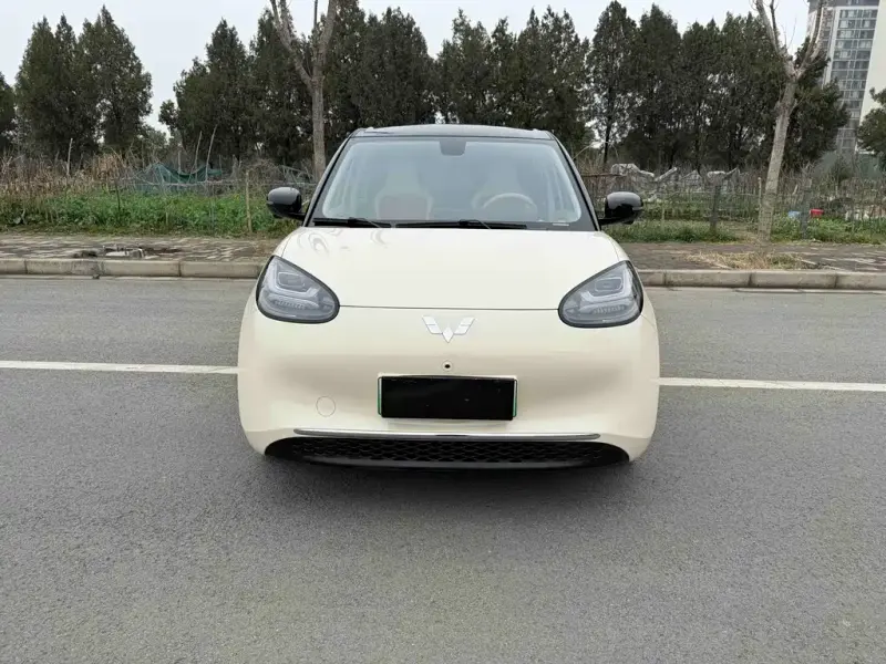Wuling Bingo, 2026