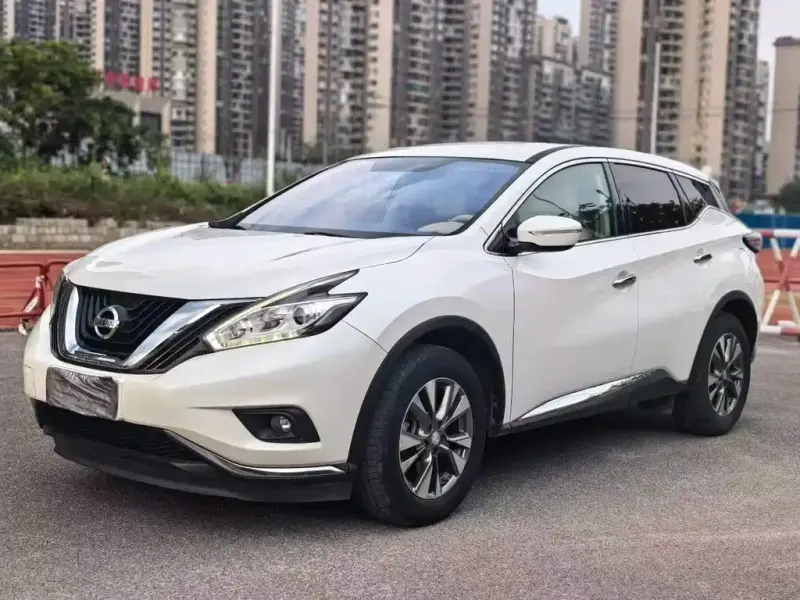 Nissan Murano, 2020 — фото 1