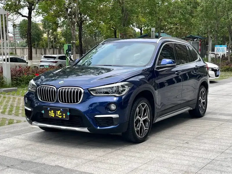 BMW X1, 2019 — фото 1