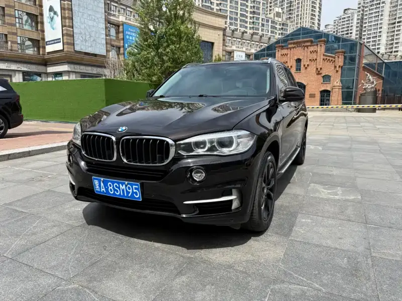 BMW X5 (Import), 2014 — фото 1