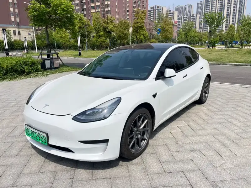 Tesla Model 3, 2021