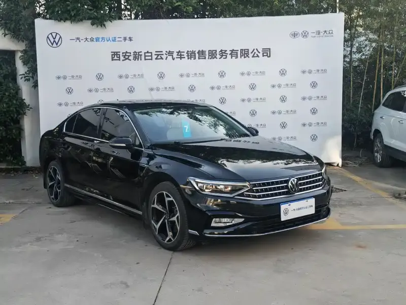 Volkswagen Magotan, 2024