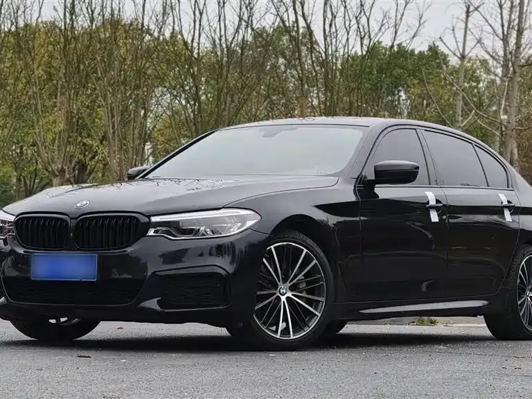 BMW 5 Series, 2019