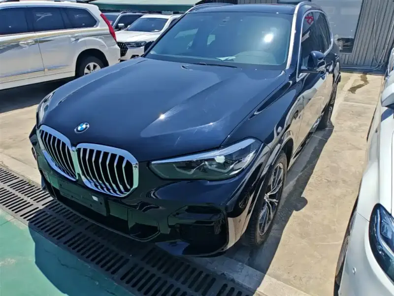BMW X5 (Import), 2022 — фото 1