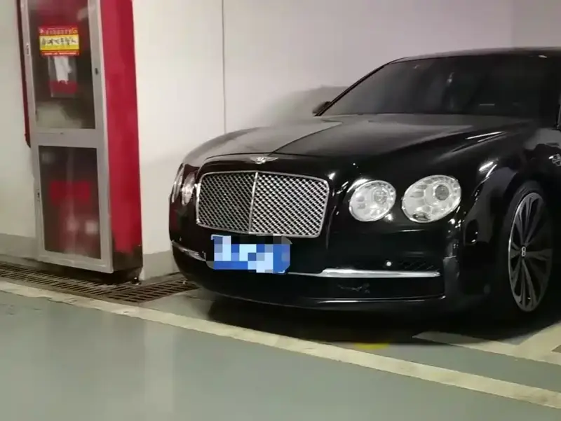 Bentley Flying Spur, 2010 — фото 1