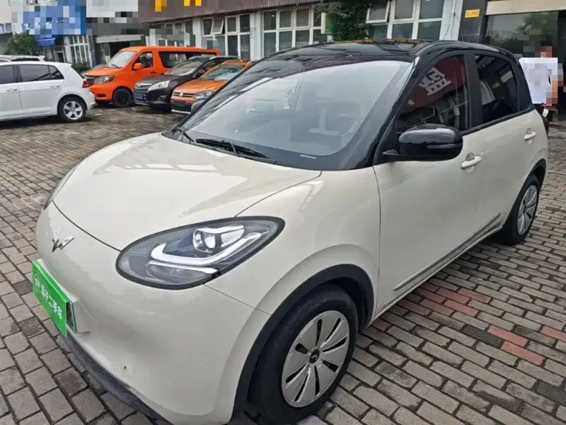 Wuling Bingo, 2023