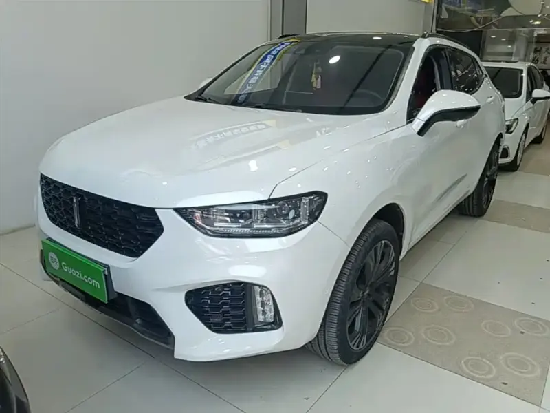 Wey VV5, 2018