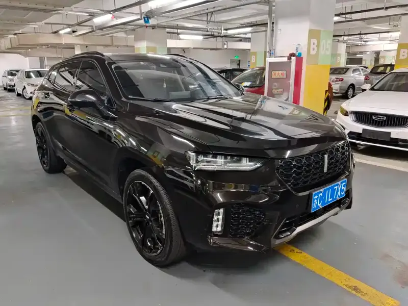 Wey VV7, 2019