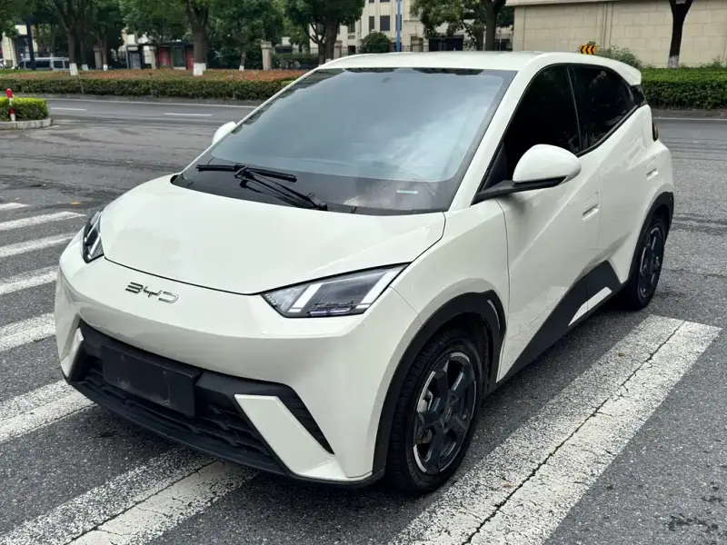 BYD Seagull, 2024