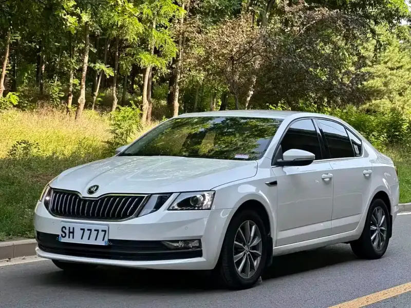Skoda Octavia, 2020 — фото 1