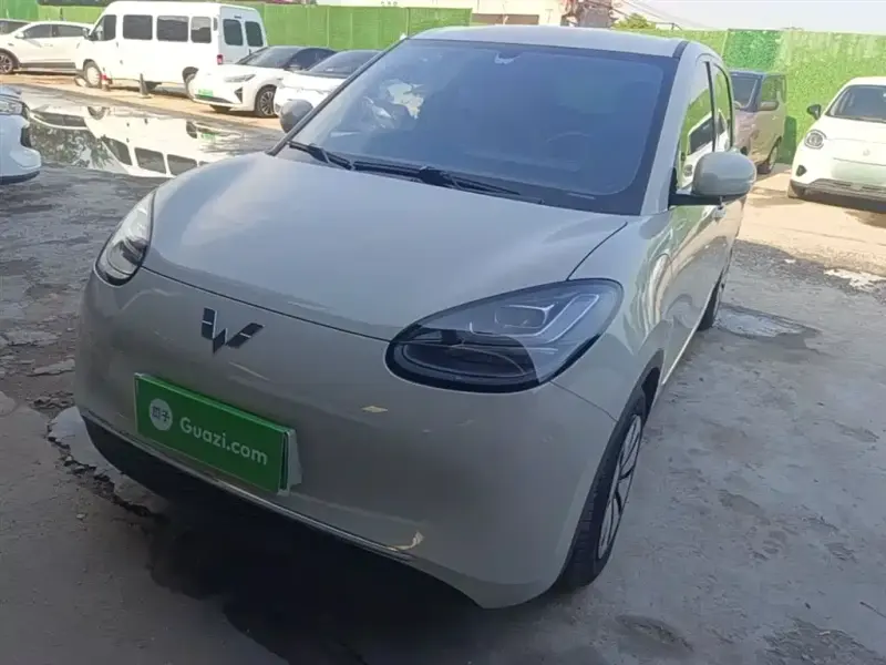 Wuling Bingo, 2024