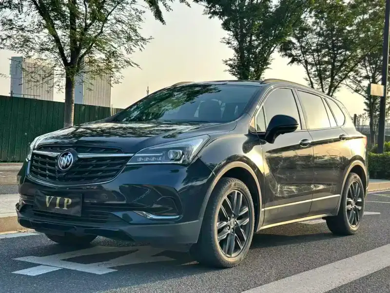 Buick Envision Plus, 2020