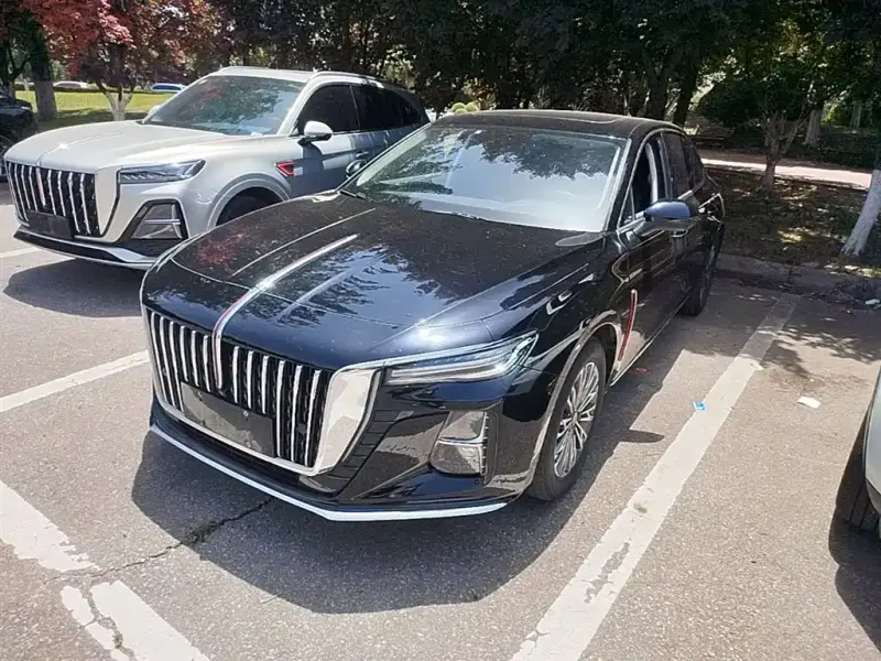 Hongqi H5, 2024