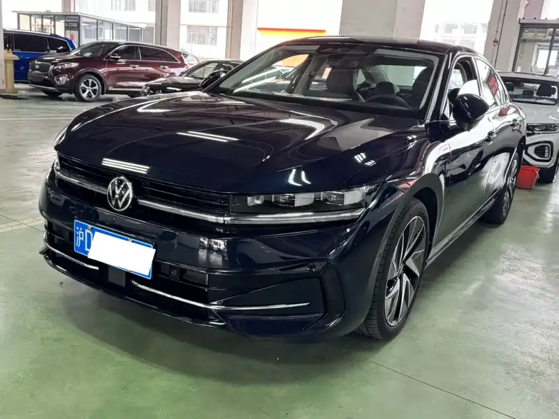 Volkswagen Magotan, 2024