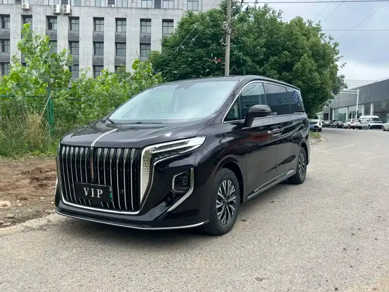Hongqi HQ9 PHEV, 2024 — фото 1
