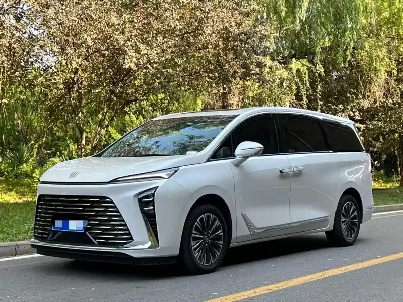 Buick GL8, 2024