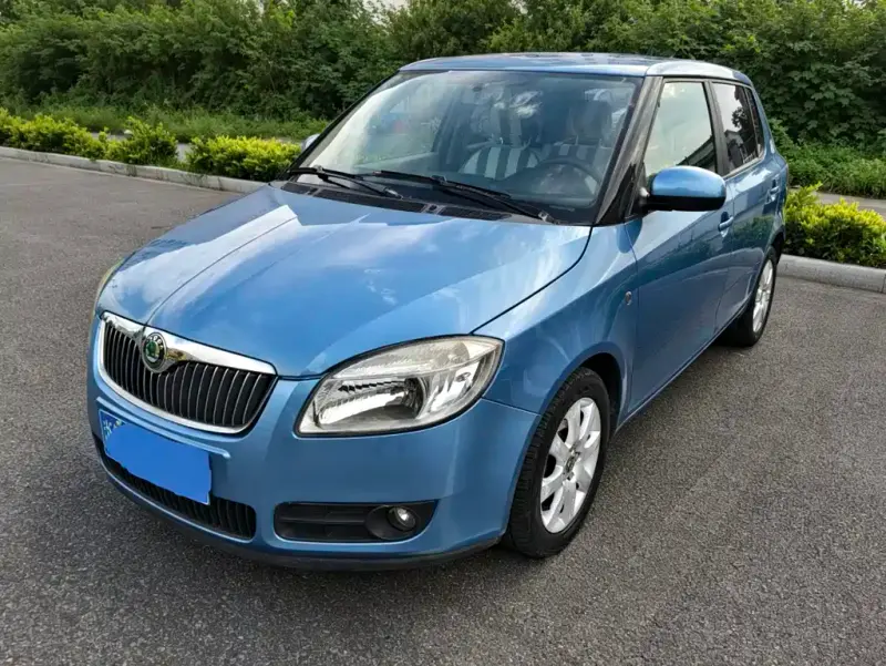 Skoda Fabia, 2011 — фото 1