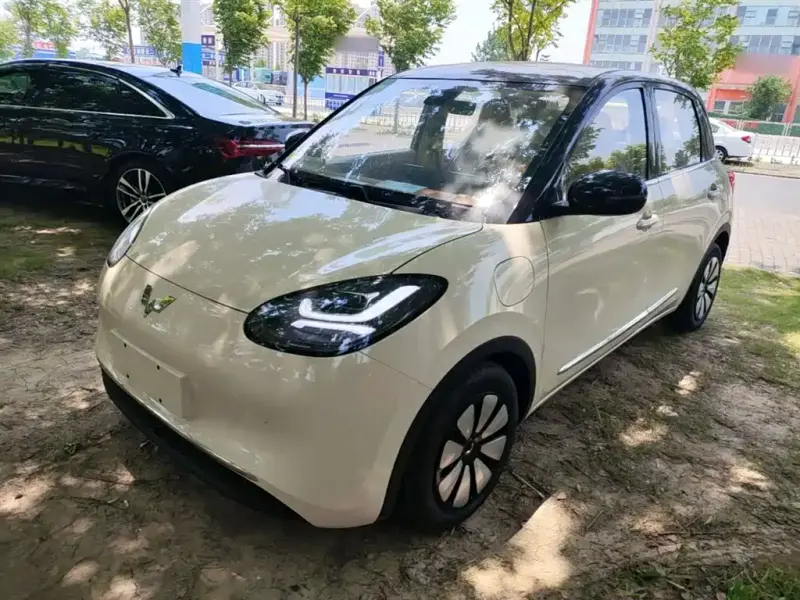Wuling Bingo, 2026