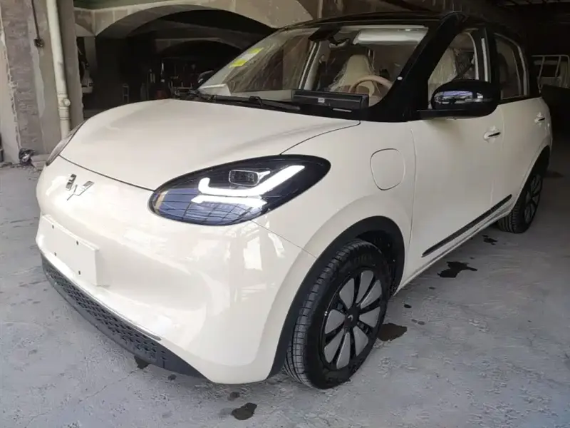 Wuling Bingo, 2026